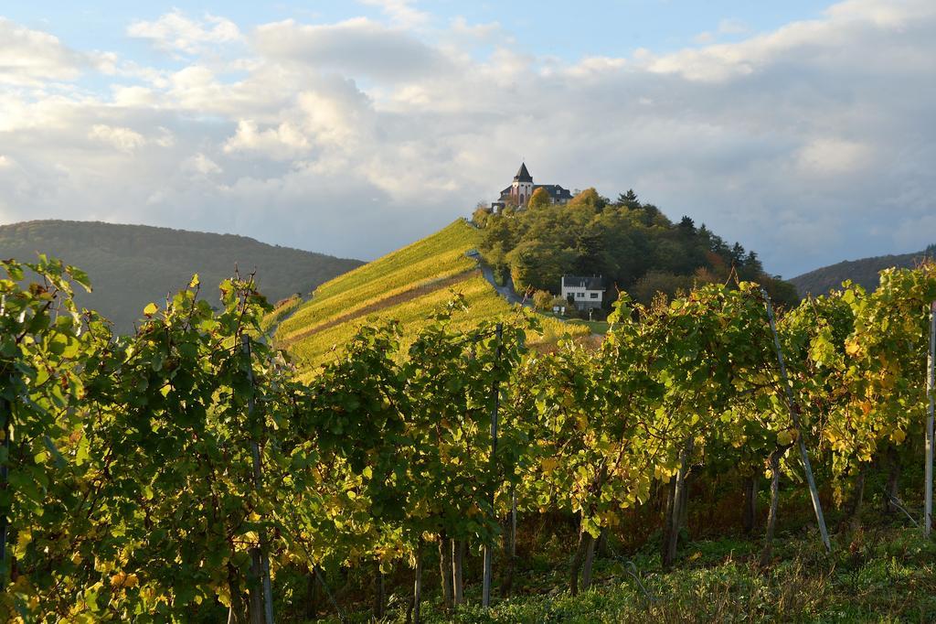 Weingut Rosenbaum Apartment Briedel Exterior photo